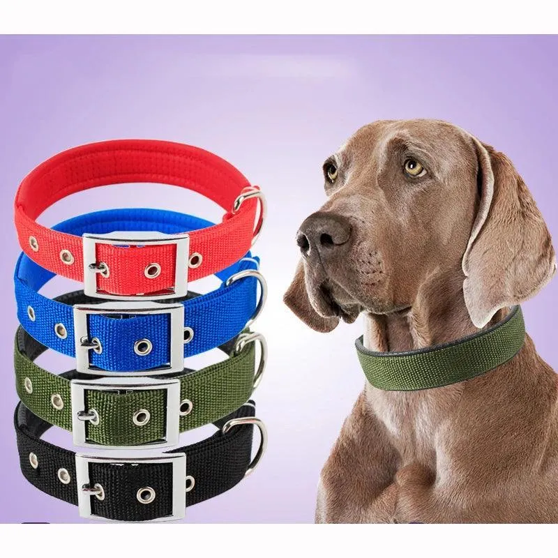 Adjustable Nylon Dog Collar: Stylish Pet Accessory for All Breeds