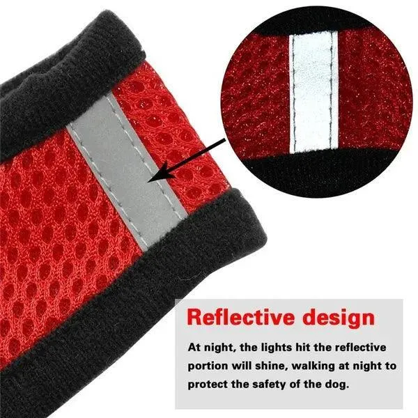 Adjustable Reflective Mesh Pet Harness Set with Leash: Stylish Safety Essentials