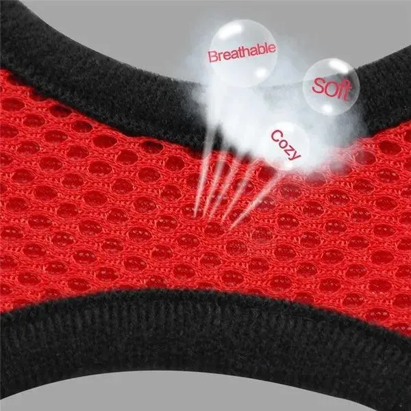 Adjustable Reflective Mesh Pet Harness Set with Leash: Stylish Safety Essentials