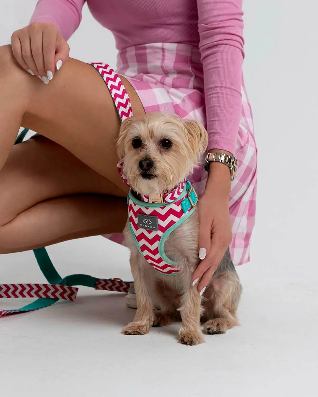 Cotton Candy Dog Harness