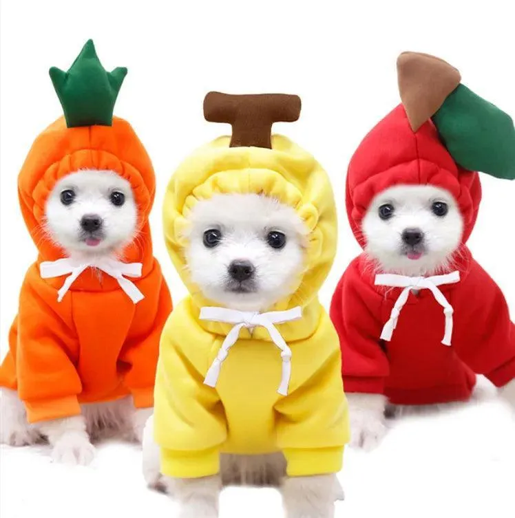 Cozy Plush Pet Jacket: Stylish Hooded Dog Coat for Chilly Seasons