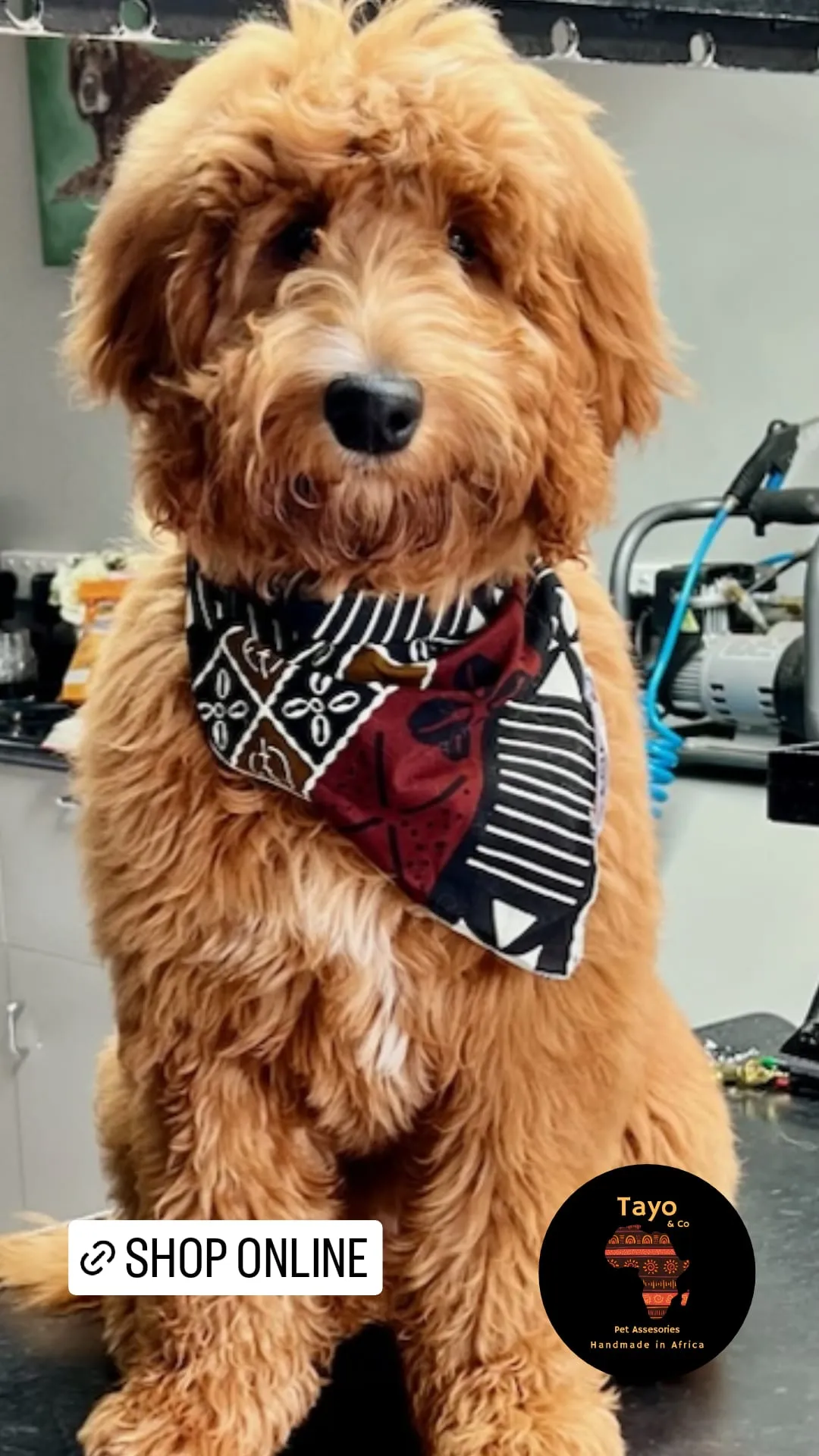 Laka Bandana