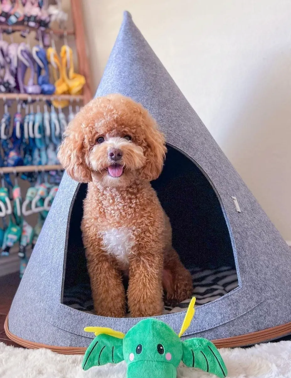Large Pet Cave Buddy