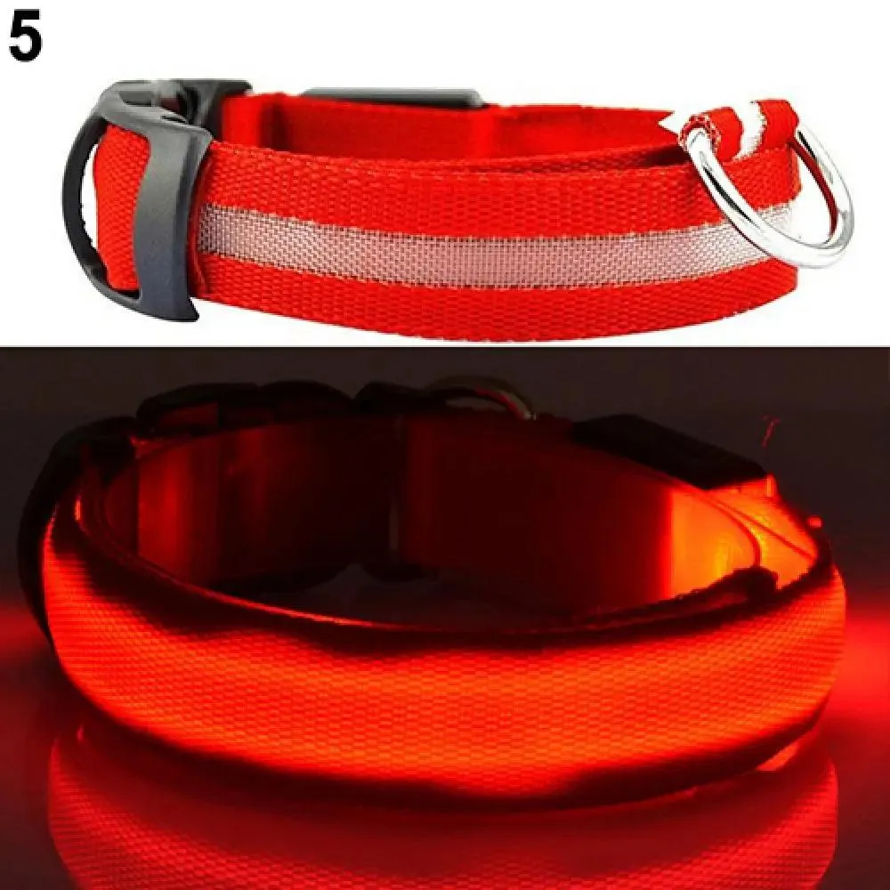 LED Light-Up Pet Safety Collar: Stylish Illumination for Dogs