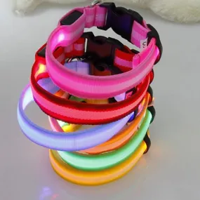 LED Light-Up Pet Safety Collar: Stylish Illumination for Dogs