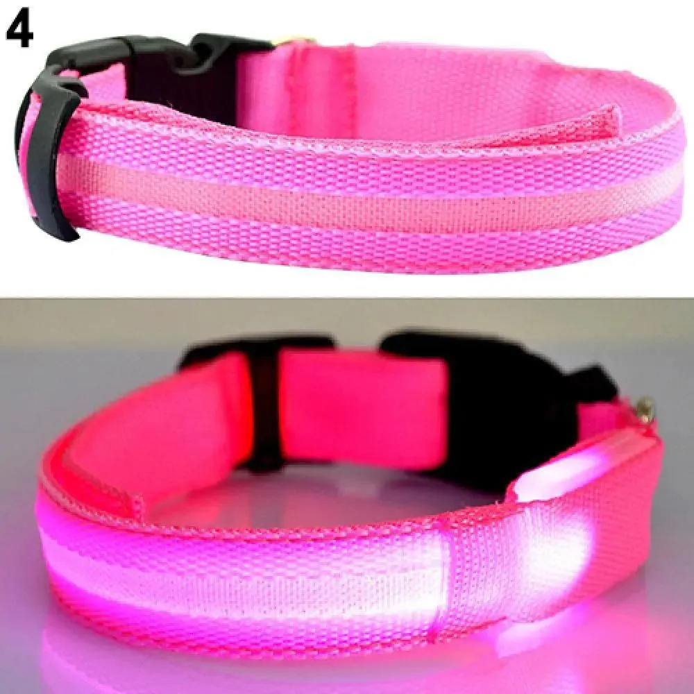LED Light-Up Pet Safety Collar: Stylish Illumination for Dogs