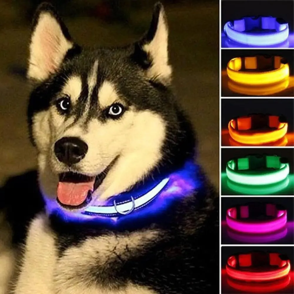 LED Light-Up Pet Safety Collar: Stylish Illumination for Dogs