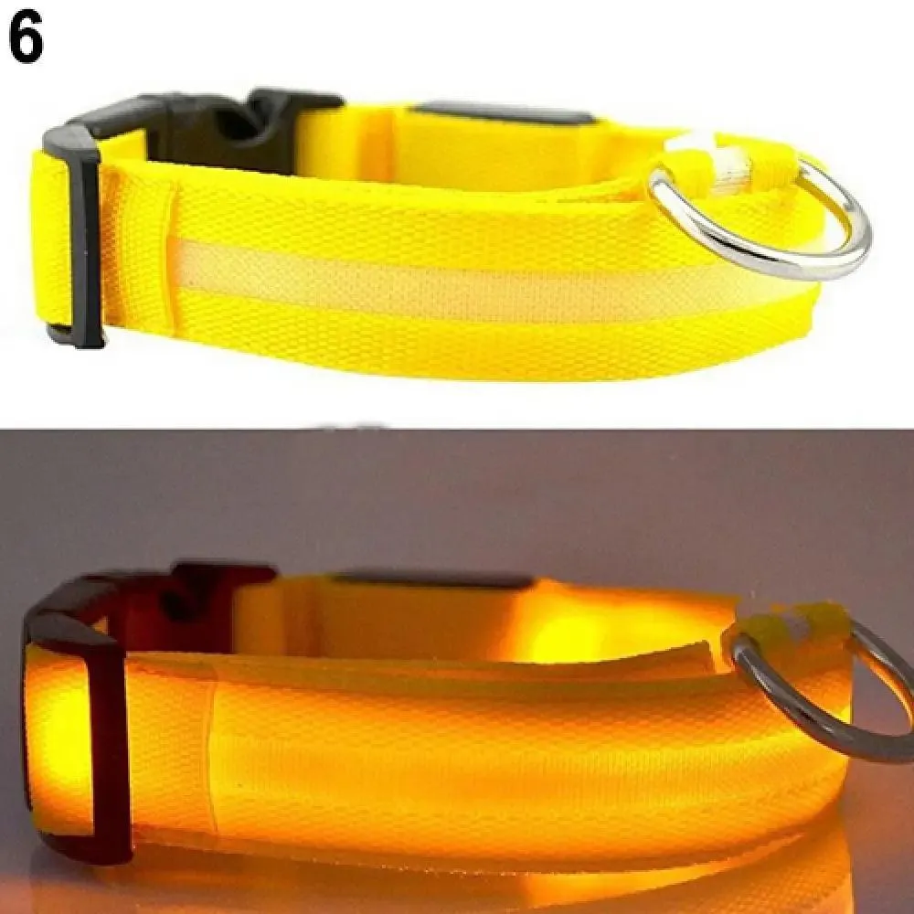 LED Light-Up Pet Safety Collar: Stylish Illumination for Dogs