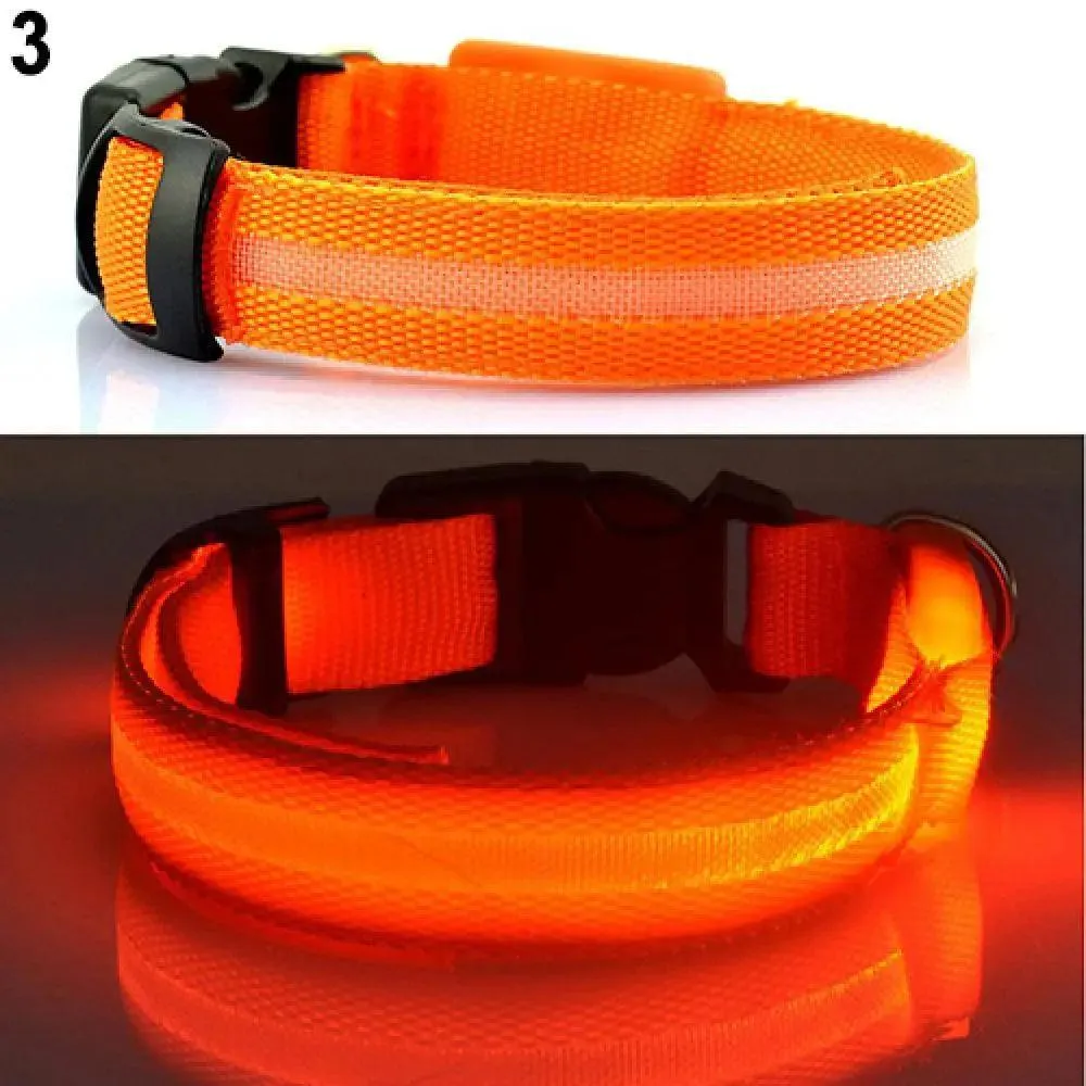 LED Light-Up Pet Safety Collar: Stylish Illumination for Dogs