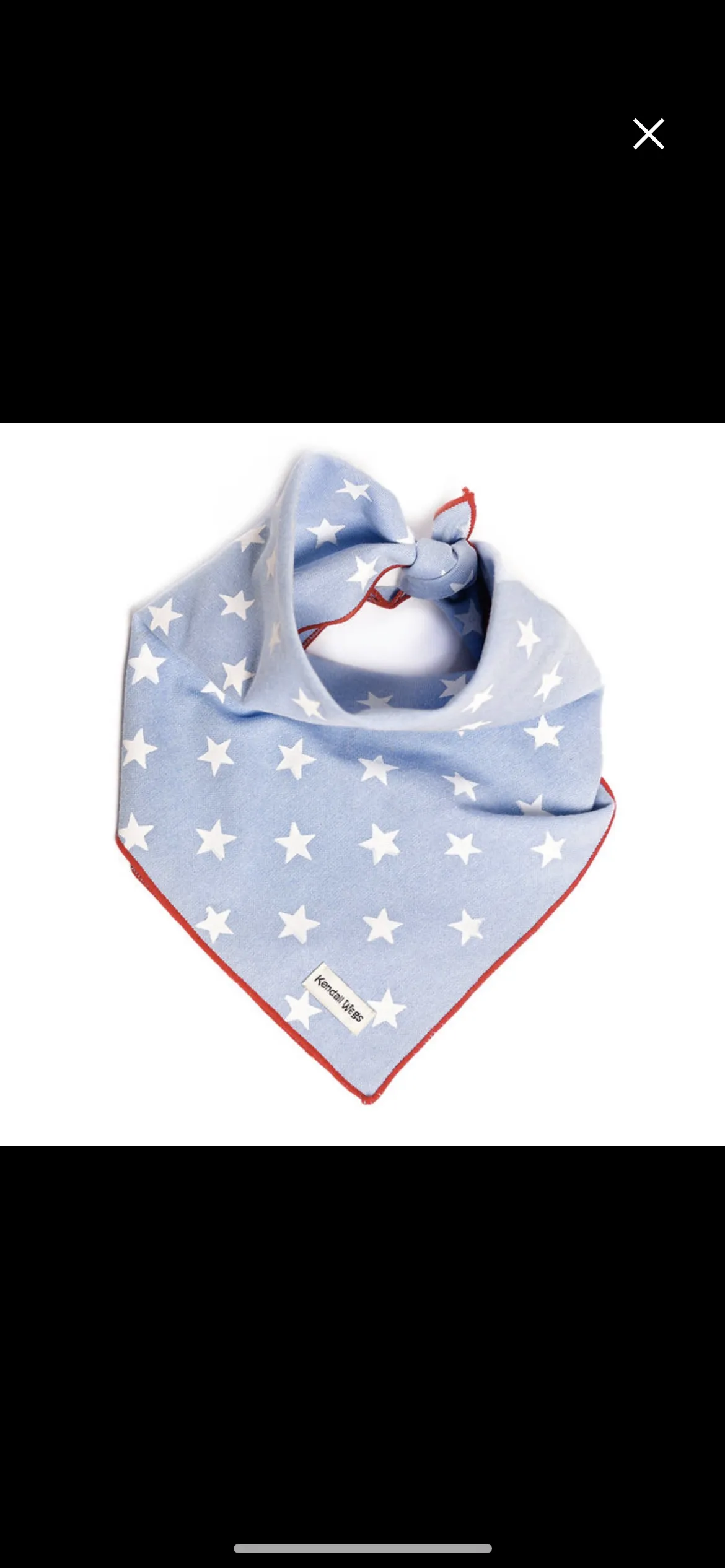 Personalized Dog Bandana