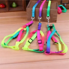 Rainbow Pet Harness Set: Stylish Nylon Walking Kit