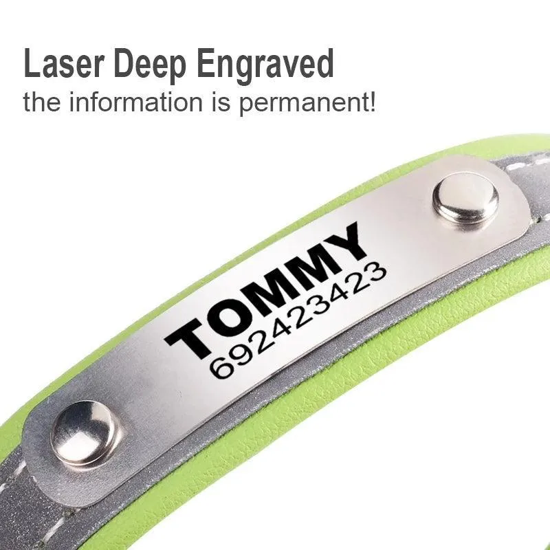 Reflective Cat Collar: Personalized ID for Stylish Pet Safety