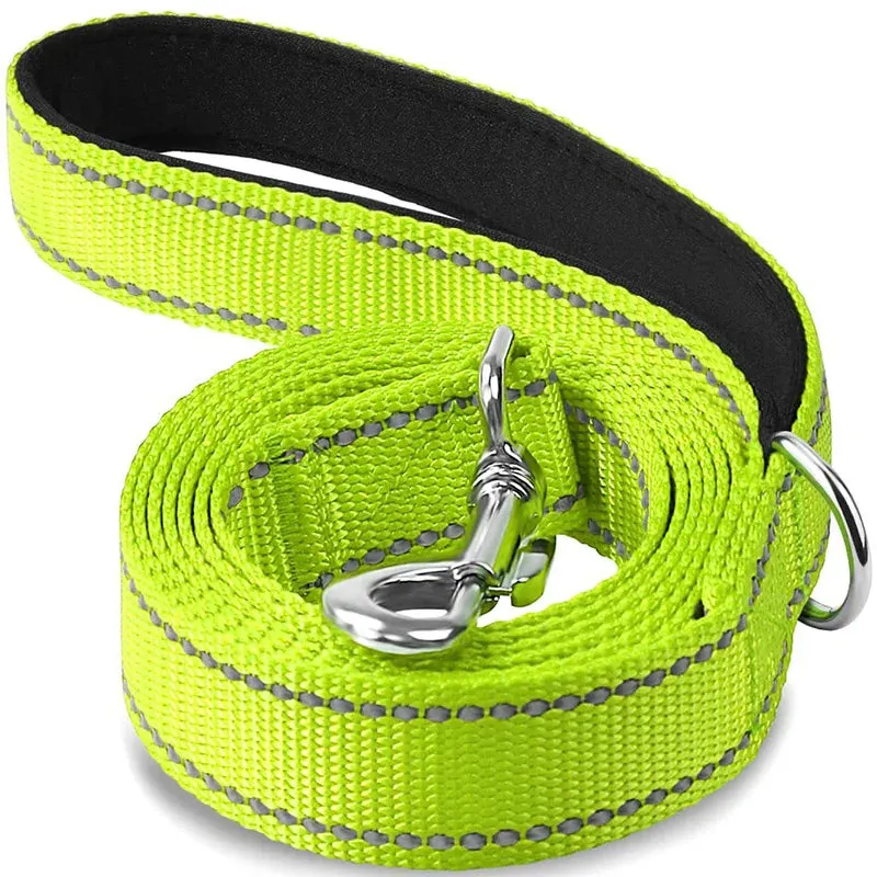 Reflective Harness, Collar, and Leash Set - Safe & Stylish