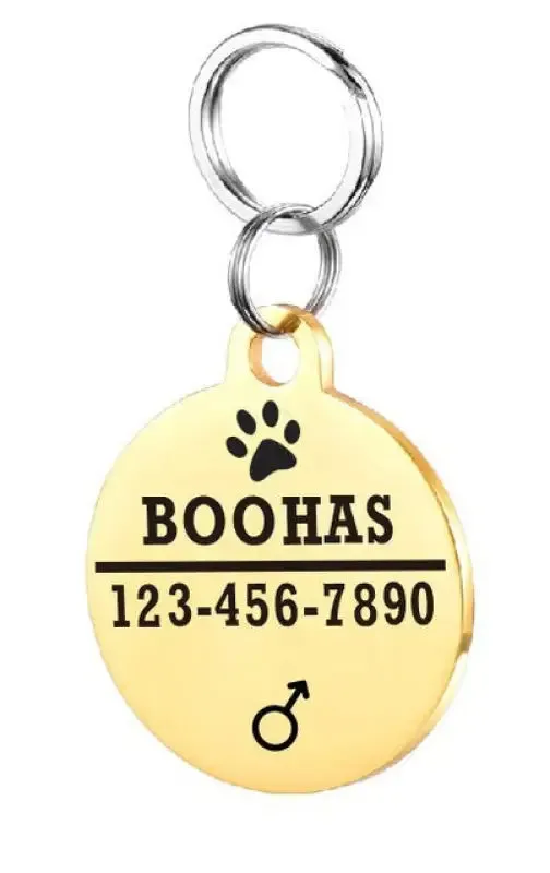 Stylish Personalized Stainless Steel Pet ID Tag for Your Furry Friend