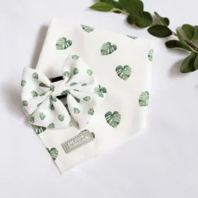 Tropical Monstera Pet Bandana & Bow Tie Set for Pets