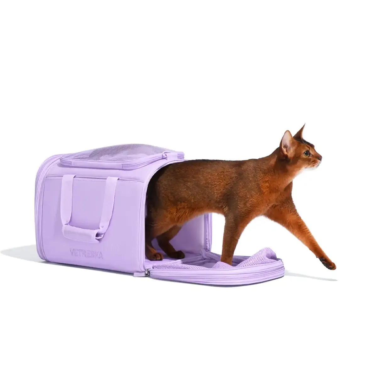 Vetreska - Violet Voyage Pet Carrier