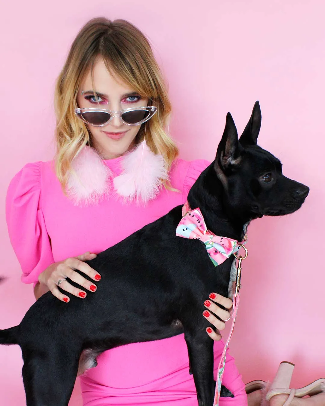 Watermelon Sugar Dog Collar