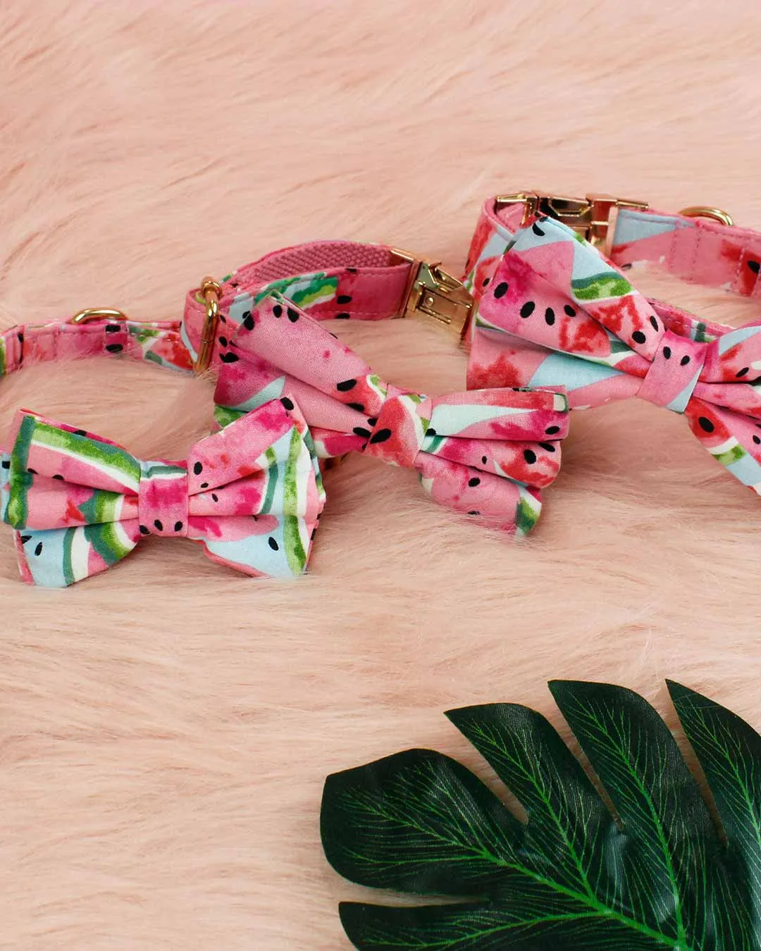 Watermelon Sugar Dog Collar