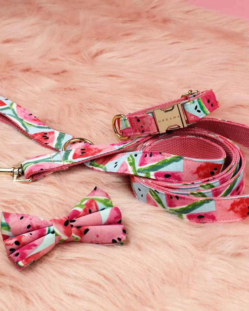 Watermelon Sugar Dog Collar