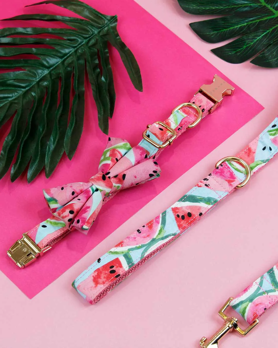 Watermelon Sugar Dog Collar